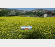 ANTALYA AKSU HACIALİLERDE SATILIK 830 M2 İMARLI AR... ANTALYA AKSU HACIALİLERDE SATILIK 830 M2 İMARLI AR...