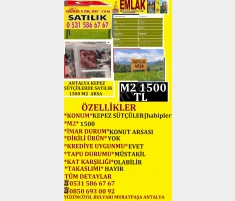 ANTALYA KEPEZ SÜTÇÜLERDE SATILIK 1500 M2 KONUT İMA... ANTALYA KEPEZ SÜTÇÜLERDE SATILIK 1500 M2 KONUT İMA...