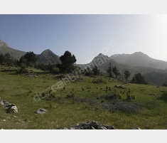ANTALYA KONYAALTI GEYİKBAYIRINDA SATILIK 514 M2 TA... ANTALYA KONYAALTI GEYİKBAYIRINDA SATILIK 514 M2 TA...