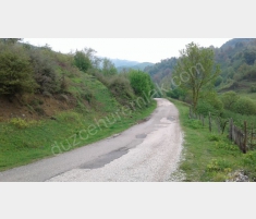 DÜZCE NUHLARDA SATILIK 2340 M2 SUPER ASVALT YOLA C... DÜZCE NUHLARDA SATILIK 2340 M2 SUPER ASVALT YOLA C...