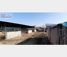 DÜZCE SARAYYERİ'NDE KİRALIK ÇİFTLİK 7591 M2ARA... DÜZCE SARAYYERİ'NDE KİRALIK ÇİFTLİK 7591 M2ARA...