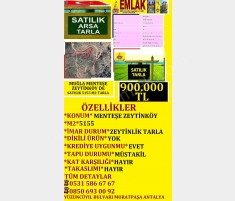 MUĞLA MENTEŞE ZEYTİNKÖYDE SATILIK 5155 M2 TARLA 9... MUĞLA MENTEŞE ZEYTİNKÖYDE SATILIK 5155 M2 TARLA 9...