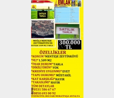 MUĞLA MENTEŞE ZEYTİNKÖYÜNDE SATILIK 1509 M2 TARLA ... MUĞLA MENTEŞE ZEYTİNKÖYÜNDE SATILIK 1509 M2 TARLA ...